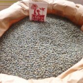 Lentilles vertes bio de la ferme du Mont d'Or
