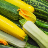 Courgettes variées - Ferme de la Brunette