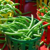 Haricots verts bio Domaine de la Poterie
