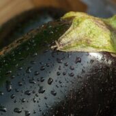 Aubergines bio Domaine de la Poterie