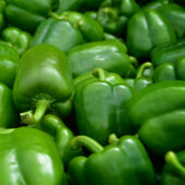 Poivrons bio - ESAT Montandon