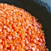 Lentilles corail - Ferme du Mont D'Or