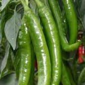 piment doux des Landes - ESAT Montandon
