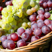 Raisin blanc et rouge bio - Ferme de la Brunette