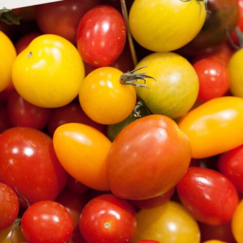 Tomates cocktail type cœur de pigeon - Le Domaine Chaillou
