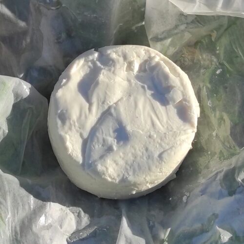 Fromage frais de brebis - Ferme de la Rondellerie à Sablonceaux