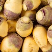 Rutabaga bio - ESAT Montandon