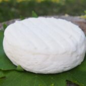 Petit palet nature chèvre bio - Ferme du Roc
