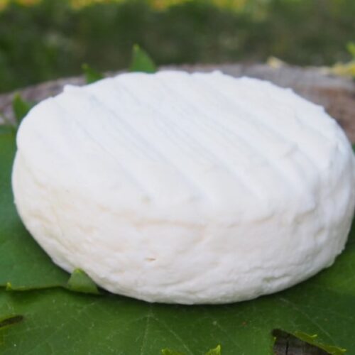 Petit palet nature chèvre bio - Ferme du Roc