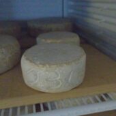 Tommette de chèvre - La Ferme du Roc